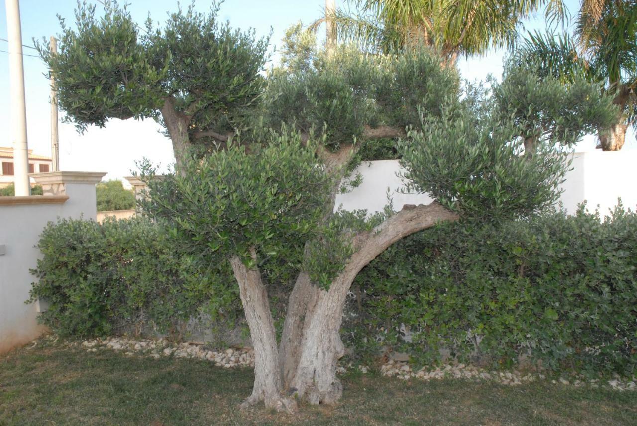 Oasi Tortuga Mazara del Vallo Exterior foto